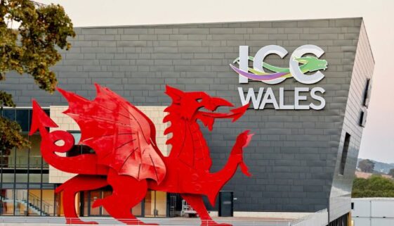ICC-SEO-image