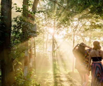 Lost Village Festival Woods
