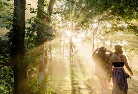 Lost Village Festival Woods