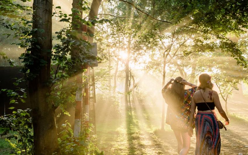 Lost Village Festival Woods